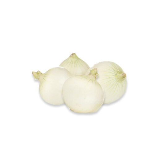 Cipolle Bianche gr600