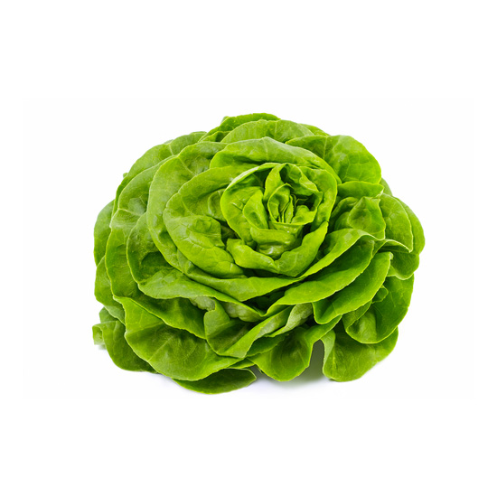 Insalata Lattuga gr200