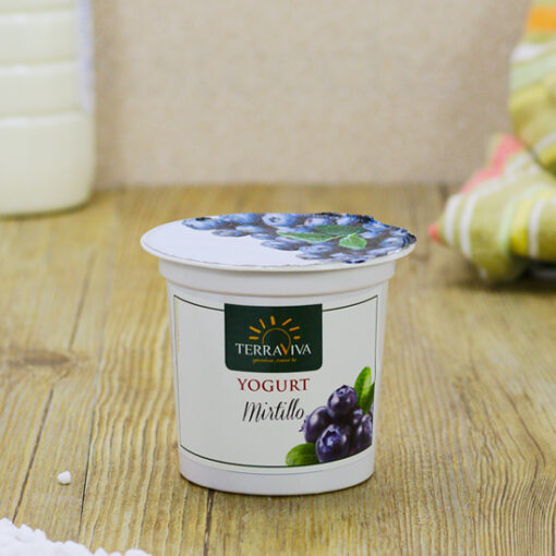 Yogurt Mirtillo SM gr125